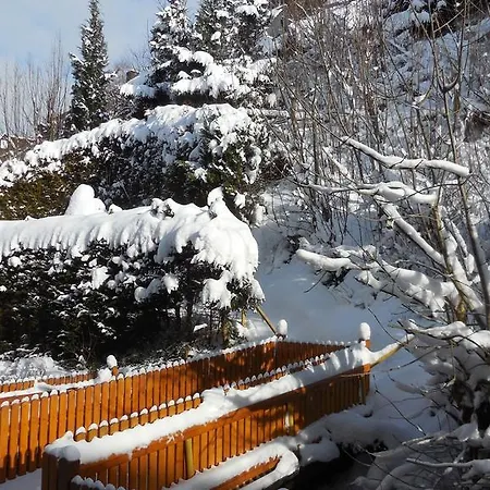 Ortsmitte-willingen Виллинген