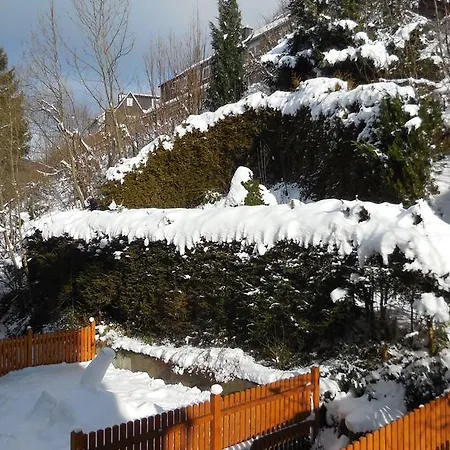 Ortsmitte-willingen Apartamento *