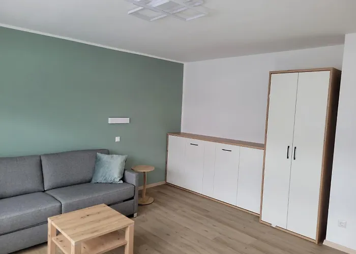 Apartment Ortsmitte-willingen *