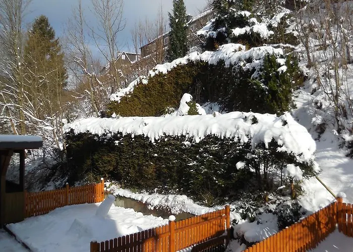 Ortsmitte-willingen Apartment *